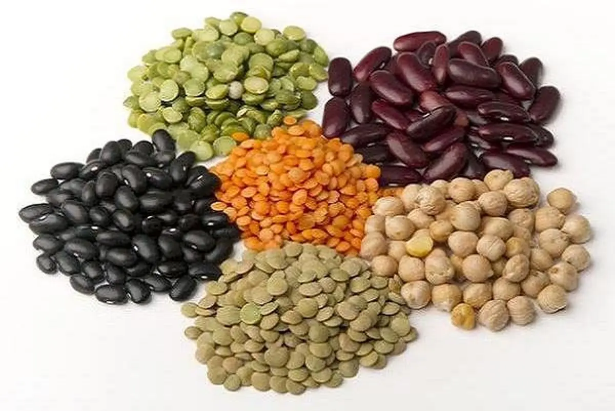 استاکیوز (Stachyose)