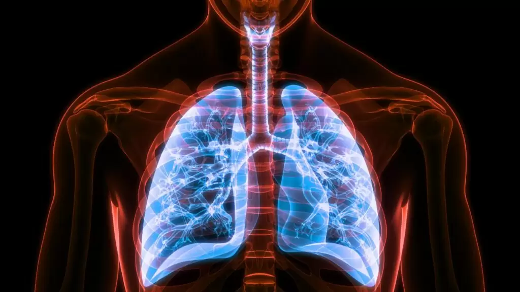 بیماری انسدادی مزمن ریه (COPD)