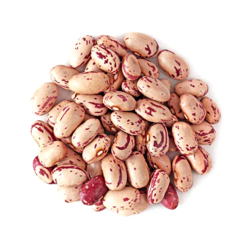 لوبیا چیتی - Pinto Bean - تصویر 2