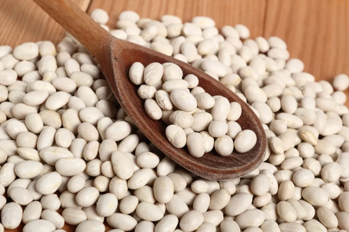 لوبیا سفید - Navy Bean - تصویر 2