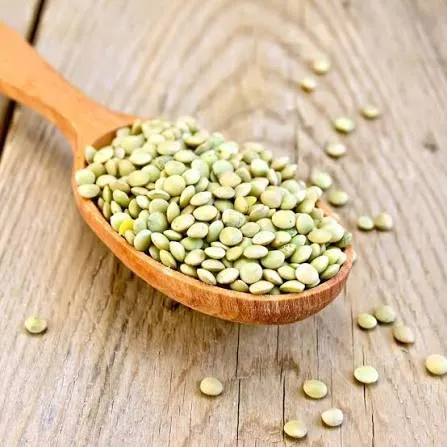 عدس سبز - Green Lentil