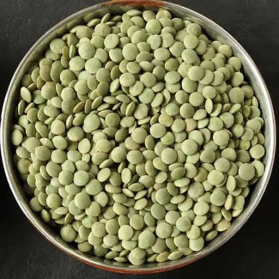 عدس سبز - Green Lentil - تصویر 3