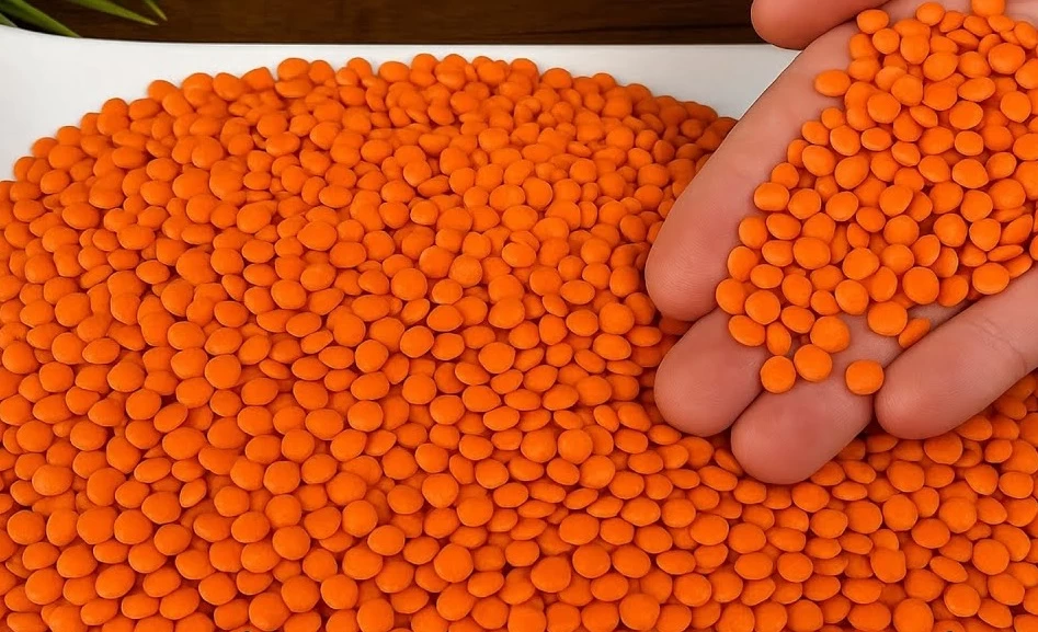 عدس قرمز - Red Lentil