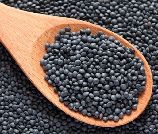 عدس سیاه (بلوگا) - Black Beluga Lentil