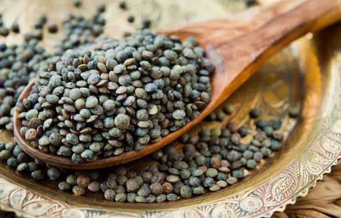 عدس فرانسوی (پوی) - French Green Lentil (Le Puy) - تصویر 4