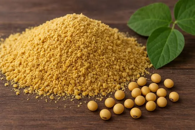 دانه سویا - Soybean