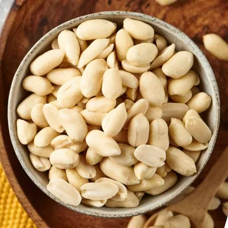 بادام زمینی - Peanut - تصویر 2
