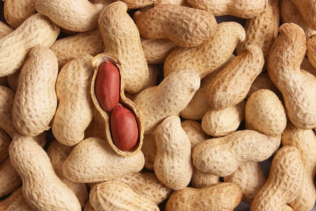 بادام زمینی - Peanut