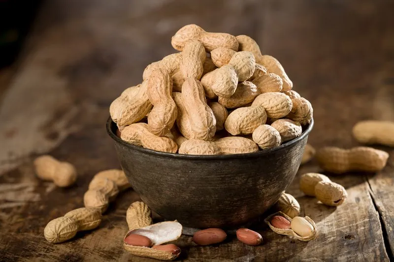 بادام زمینی - Peanut - تصویر 3
