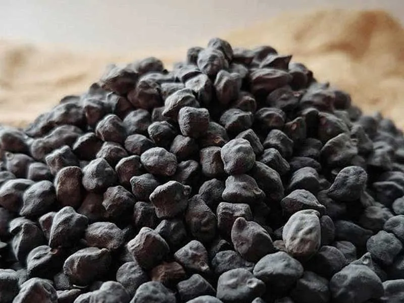 نخود سیاه - Kala Chana (Black Chickpea) - تصویر 3