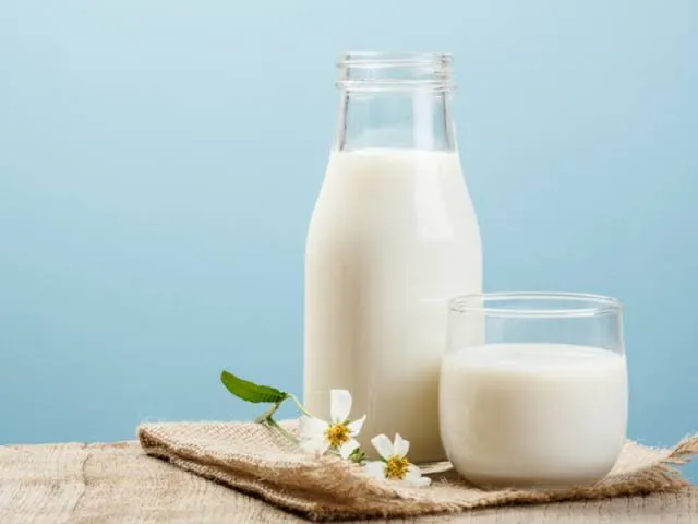 شیر گاو - Cow Milk - تصویر 2