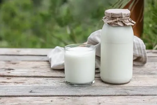 شیر گوسفند - Sheep Milk - تصویر 3
