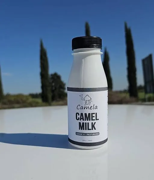 شیر شتر - Camel Milk