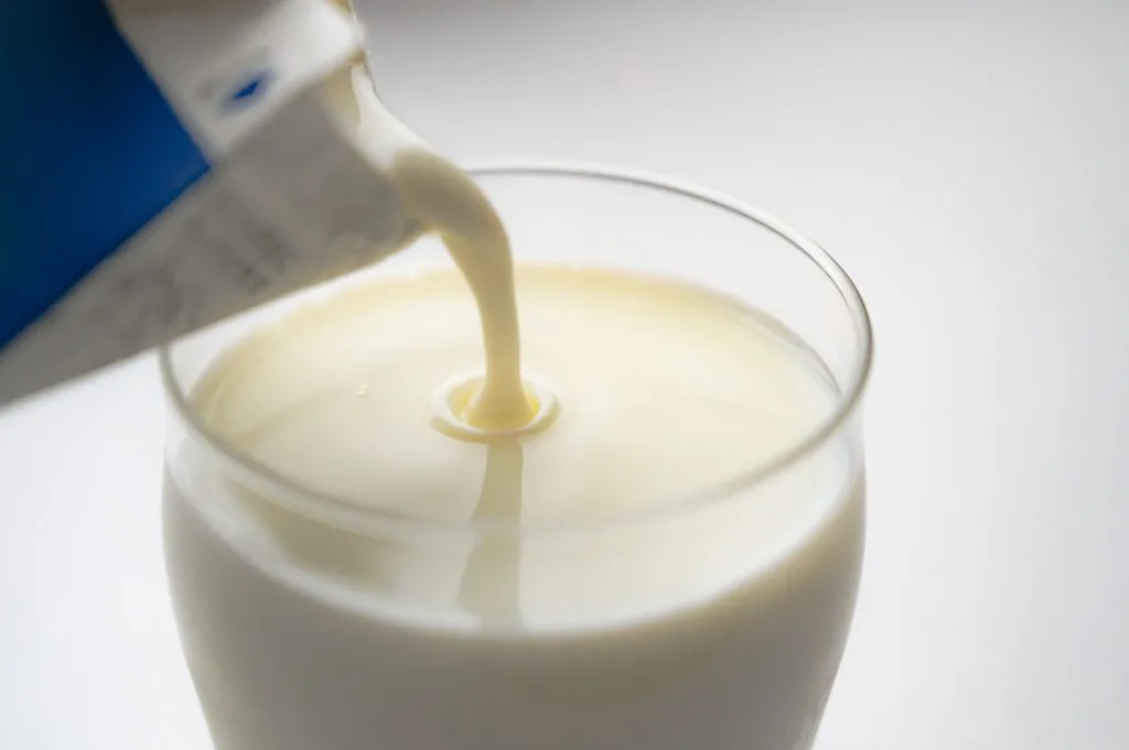 شیر پاستوریزه - Pasteurized Milk - تصویر 2
